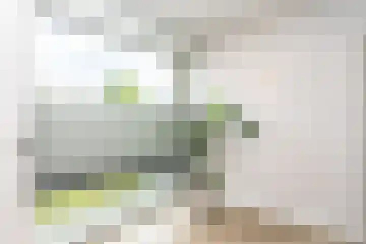 Schout van Heeckerenring 31 Heerlen thumbnail 8