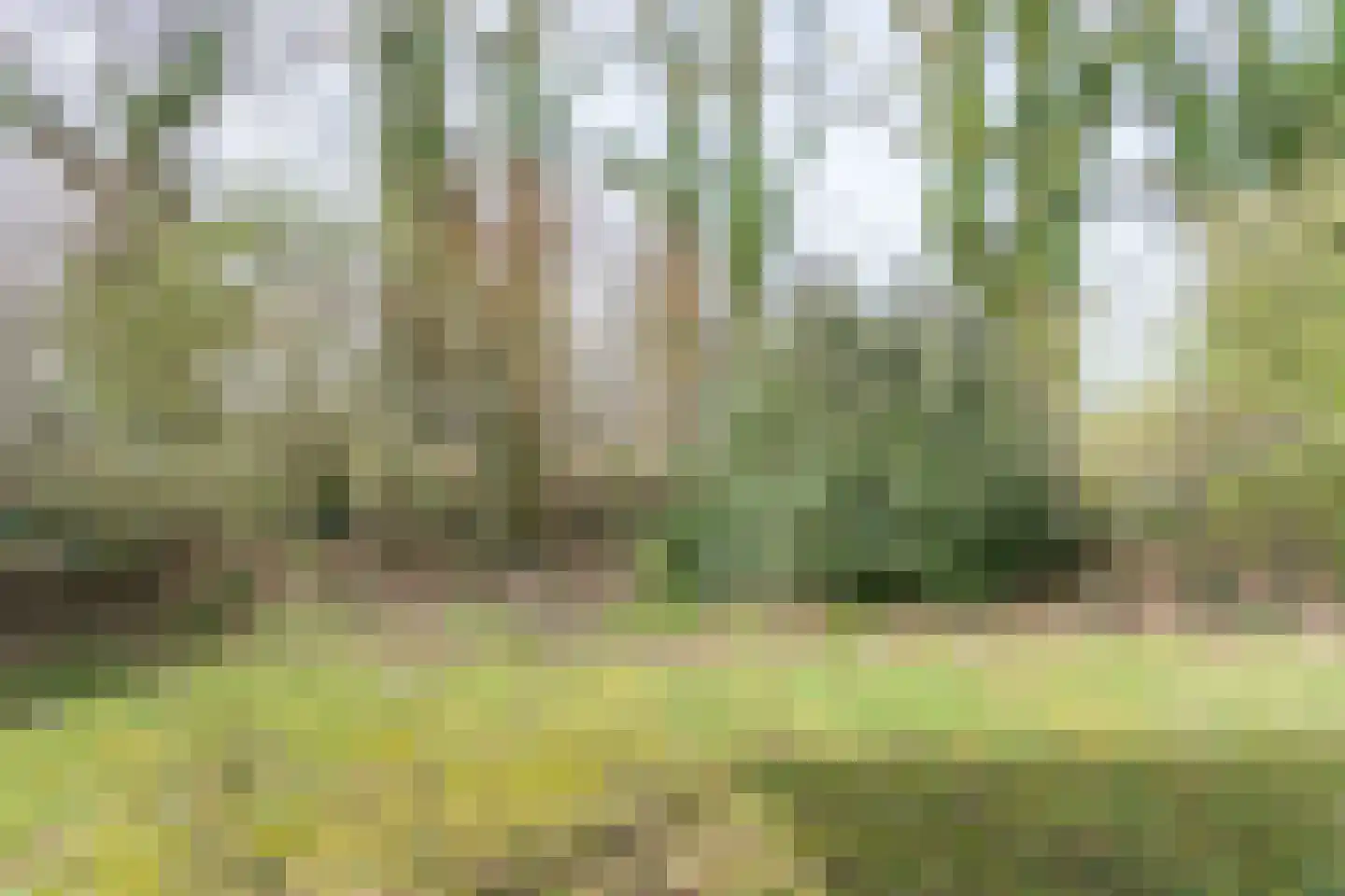 Schout van Heeckerenring 61 Heerlen thumbnail 32