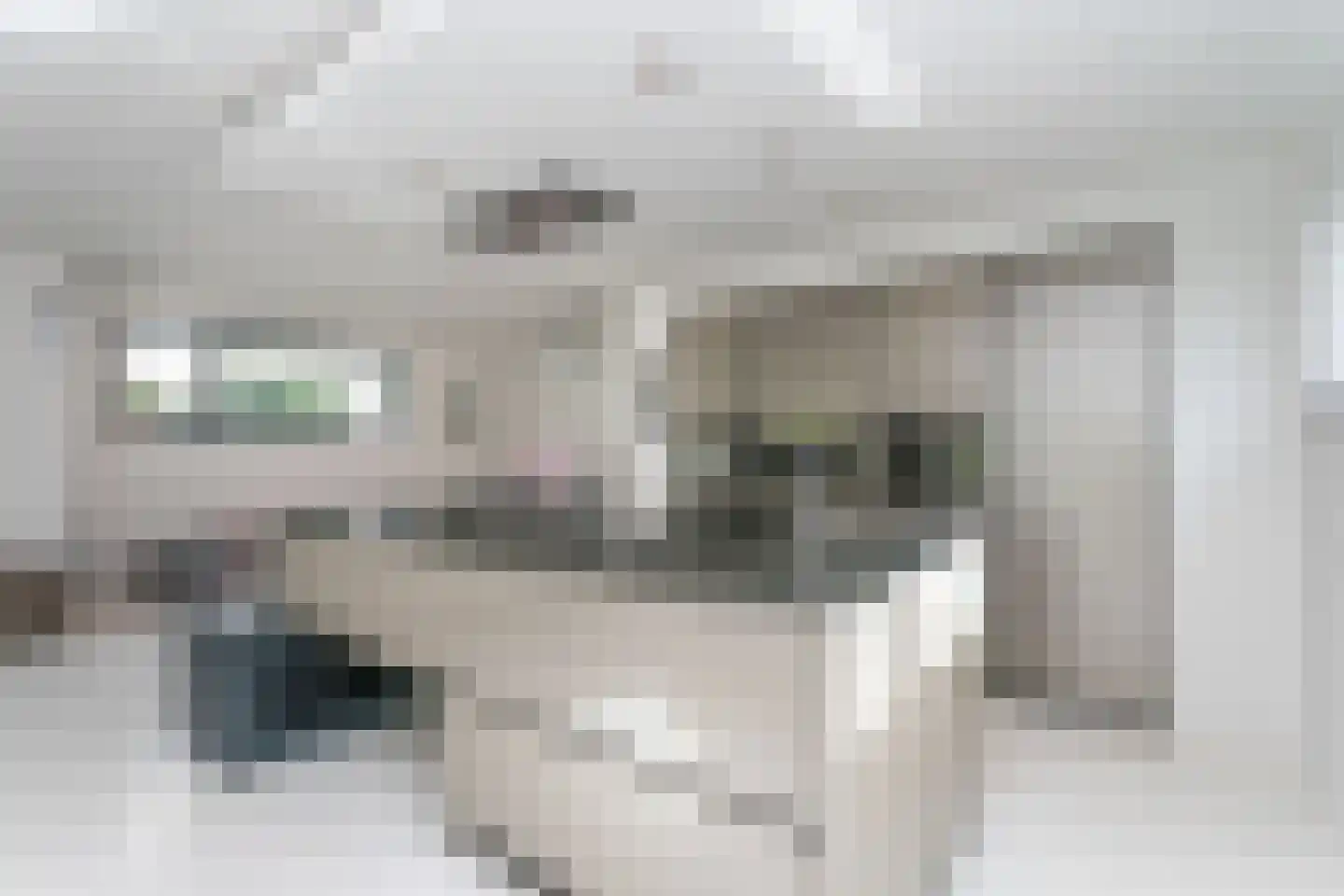 Schout van Heeckerenring 61 Heerlen thumbnail 5