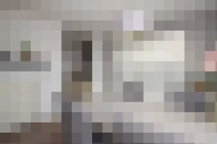 Schout van Hekerenstraat 3 's-Hertogenbosch thumbnail 12