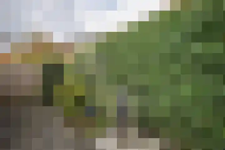 Schout van Hekerenstraat 3 's-Hertogenbosch thumbnail 18
