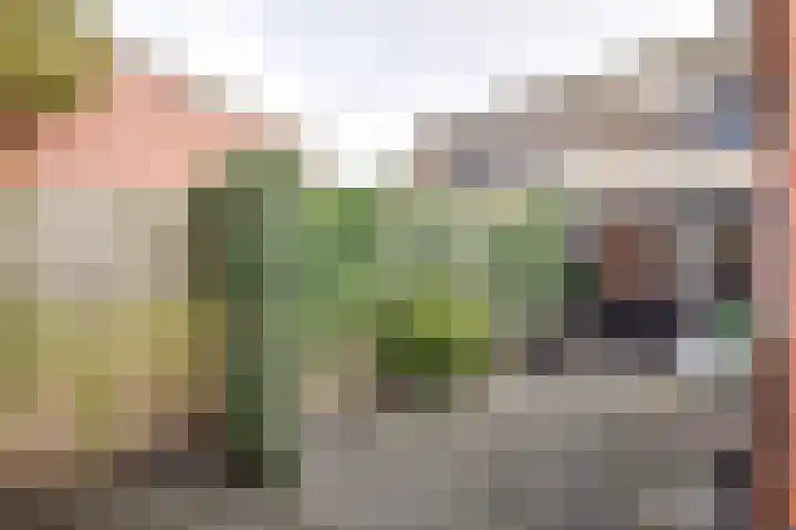 Schout van Hekerenstraat 3 's-Hertogenbosch thumbnail 19