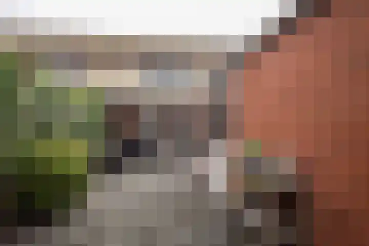 Schout van Hekerenstraat 3 's-Hertogenbosch thumbnail 20