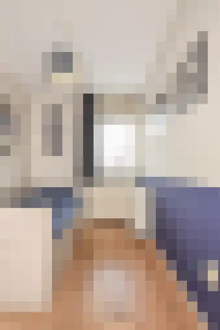 Schout van Hekerenstraat 3 's-Hertogenbosch thumbnail 25