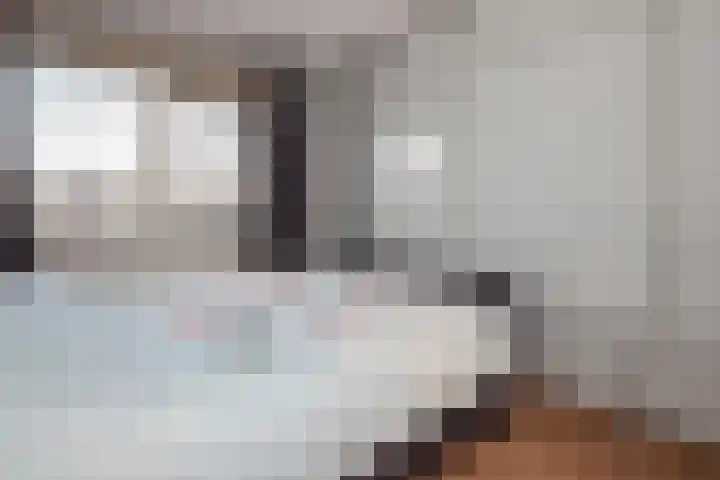 Schout van Hekerenstraat 3 's-Hertogenbosch thumbnail 27