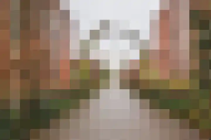 Schout van Hekerenstraat 3 's-Hertogenbosch thumbnail 31