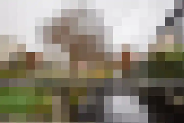 Schout van Hekerenstraat 3 's-Hertogenbosch thumbnail 32