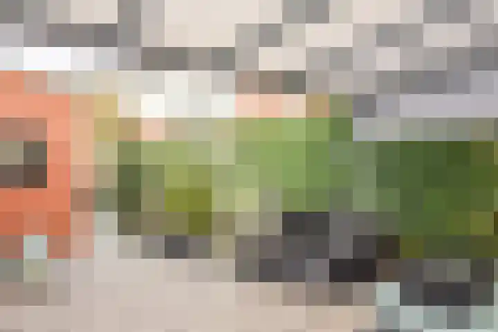 Schout van Hekerenstraat 3 's-Hertogenbosch thumbnail 4