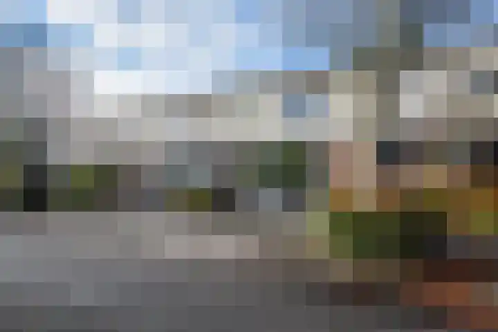 Schout van Hekerenstraat 3 's-Hertogenbosch thumbnail 6