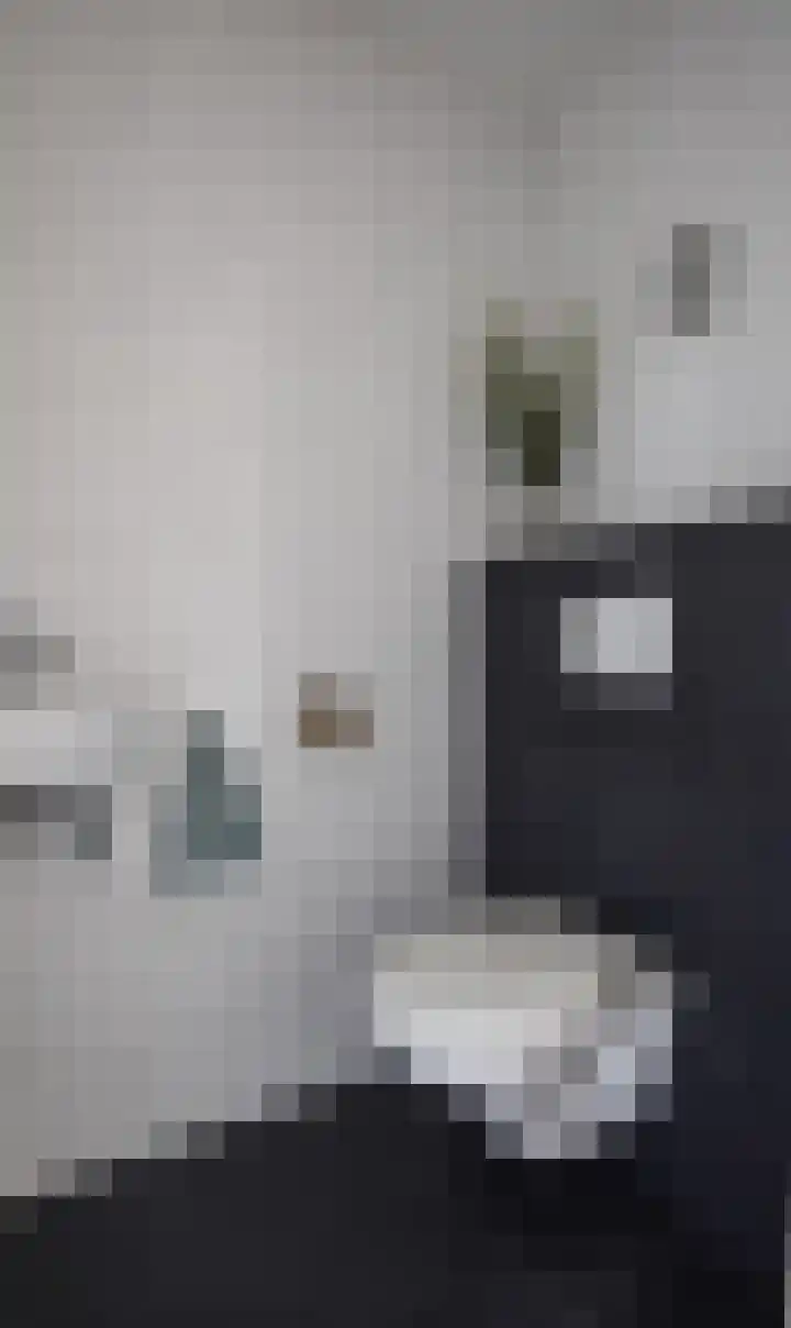 Schout van Hekerenstraat 3 's-Hertogenbosch thumbnail 9