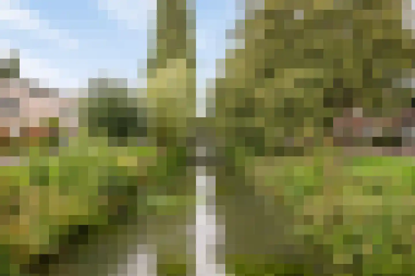 Schout van Herenthalsplein 12 's-Hertogenbosch thumbnail 32