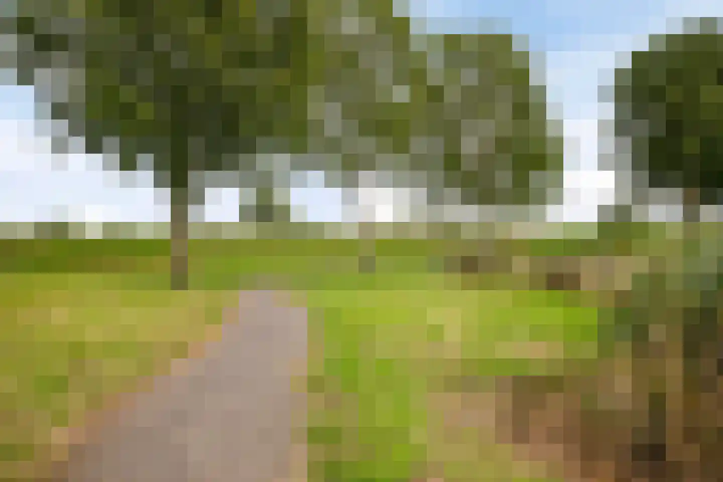 Schout van Herenthalsplein 12 's-Hertogenbosch thumbnail 34