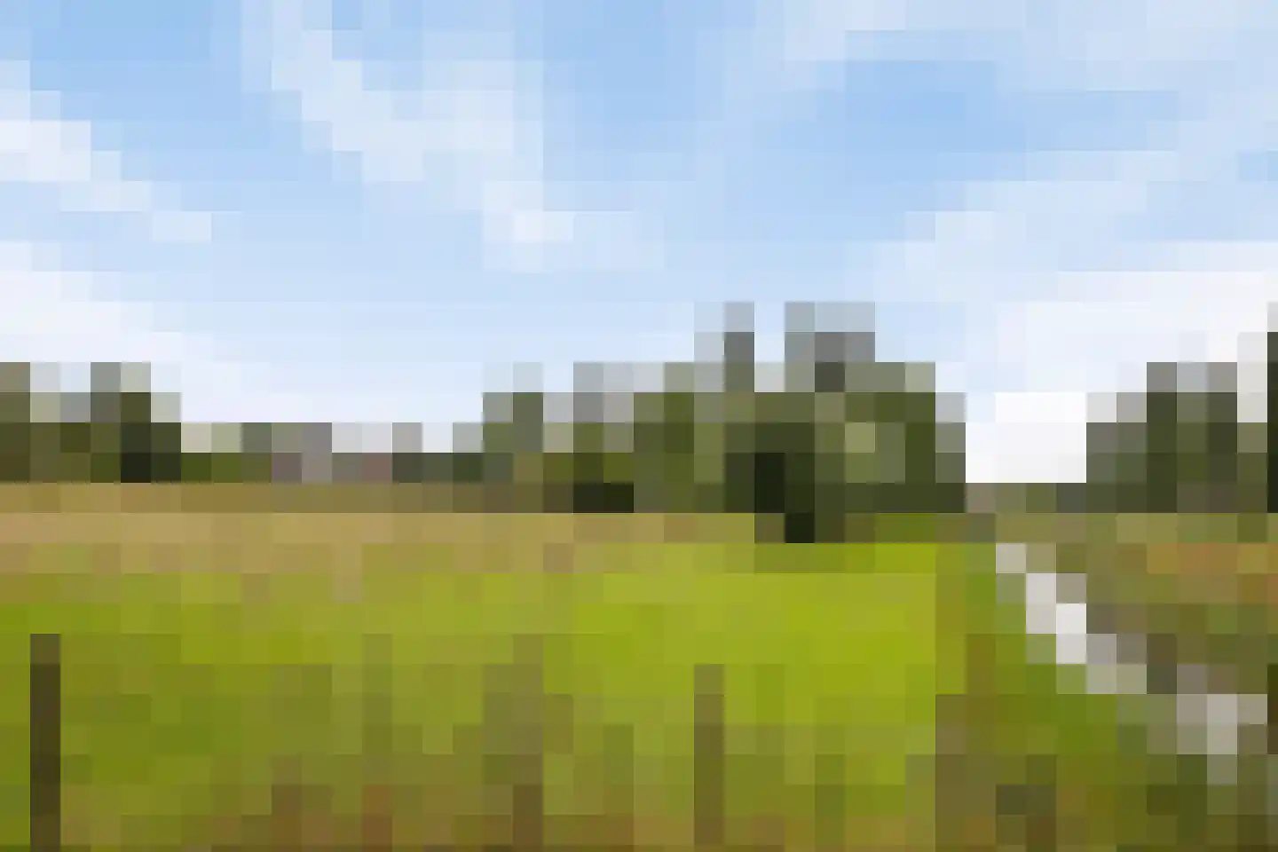 Schout van Herenthalsplein 12 's-Hertogenbosch thumbnail 35