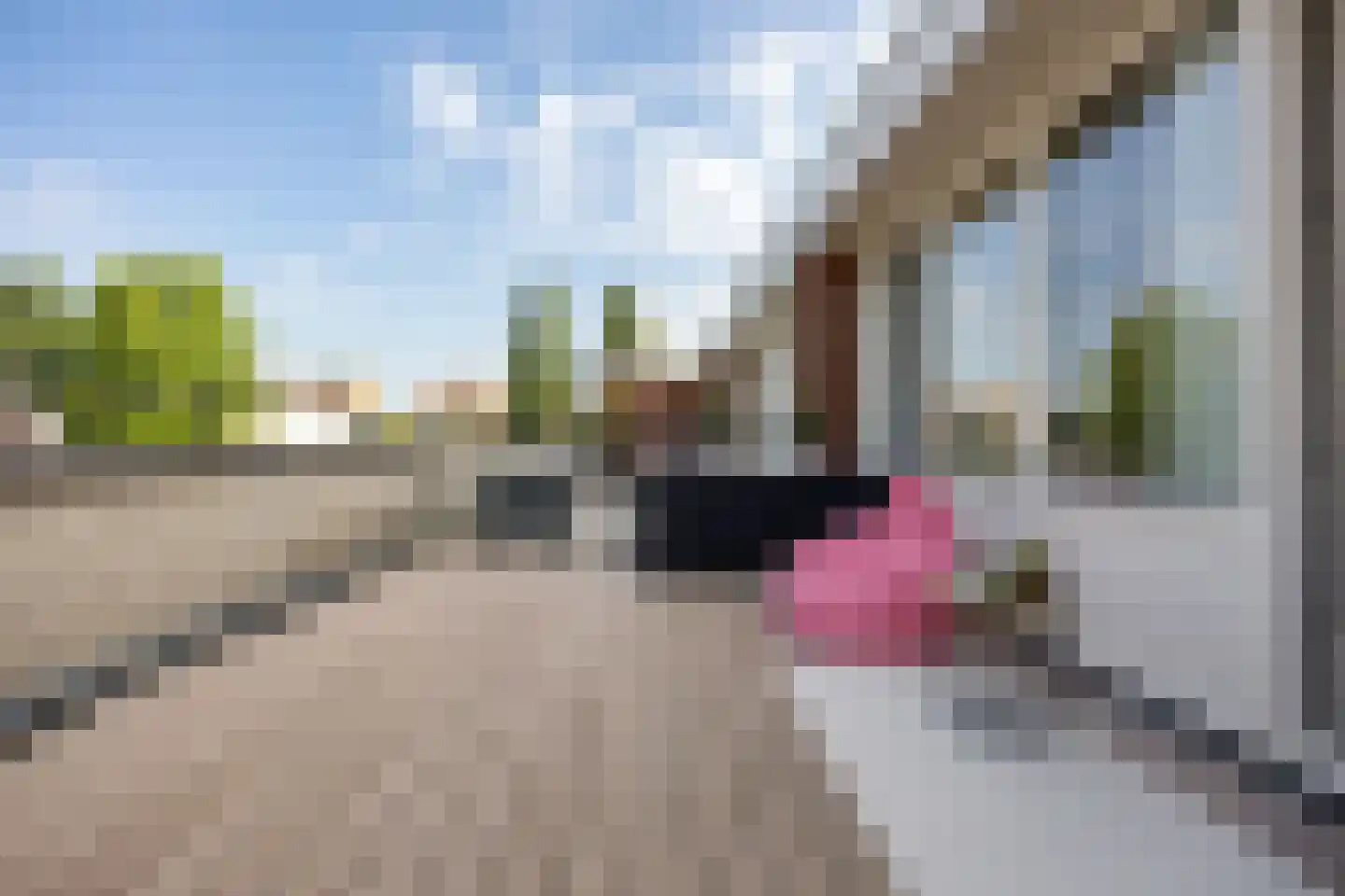 Schout van Herenthalsplein 15 's-Hertogenbosch thumbnail 21