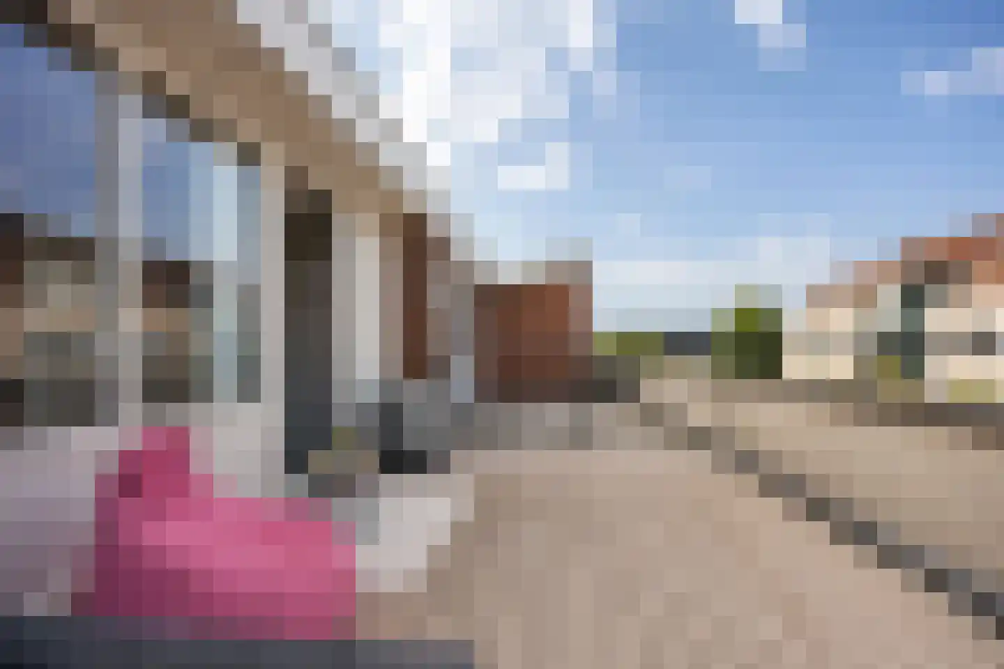 Schout van Herenthalsplein 15 's-Hertogenbosch thumbnail 22