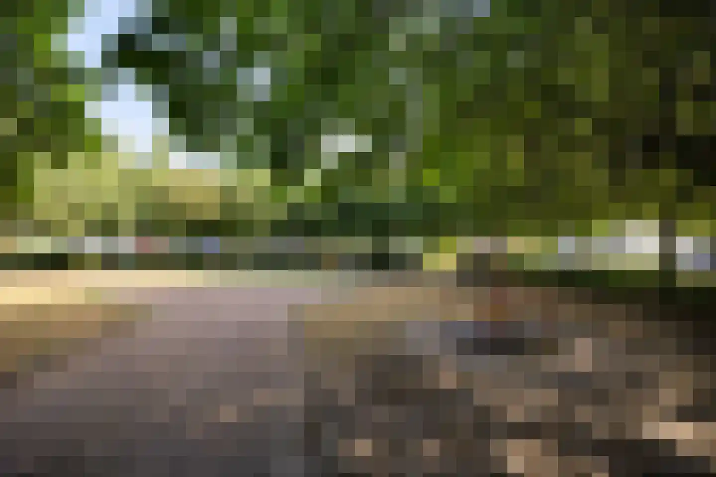 Schout van Herenthalsplein 15 's-Hertogenbosch thumbnail 28
