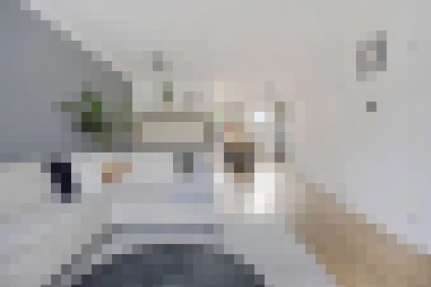 Schout van Herenthalsplein 15 's-Hertogenbosch thumbnail 5