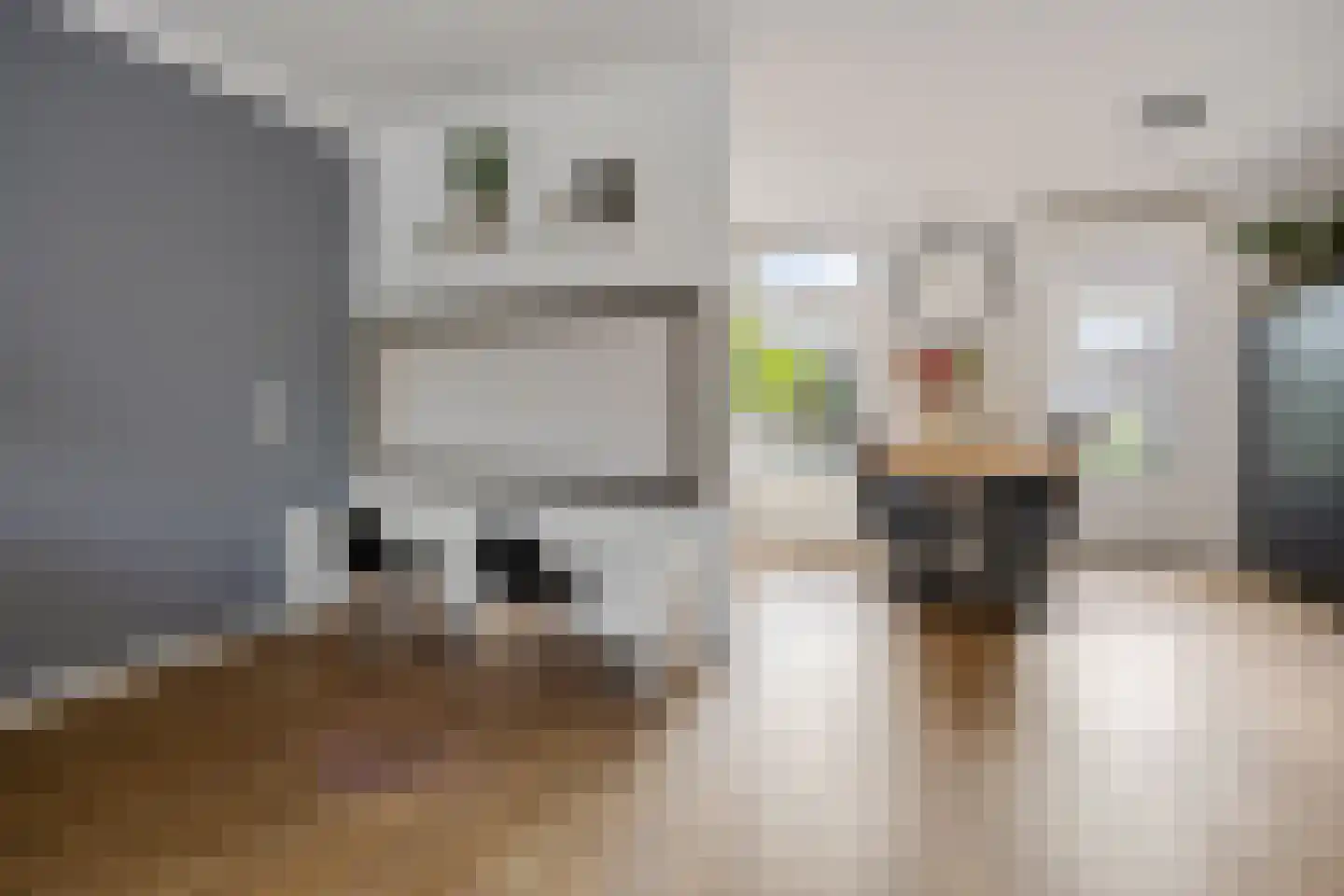 Schout van Herenthalsplein 15 's-Hertogenbosch thumbnail 6