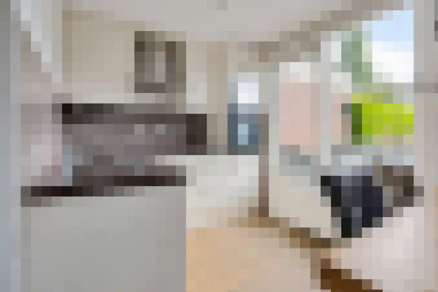 Schout van Herenthalsplein 15 's-Hertogenbosch thumbnail 8