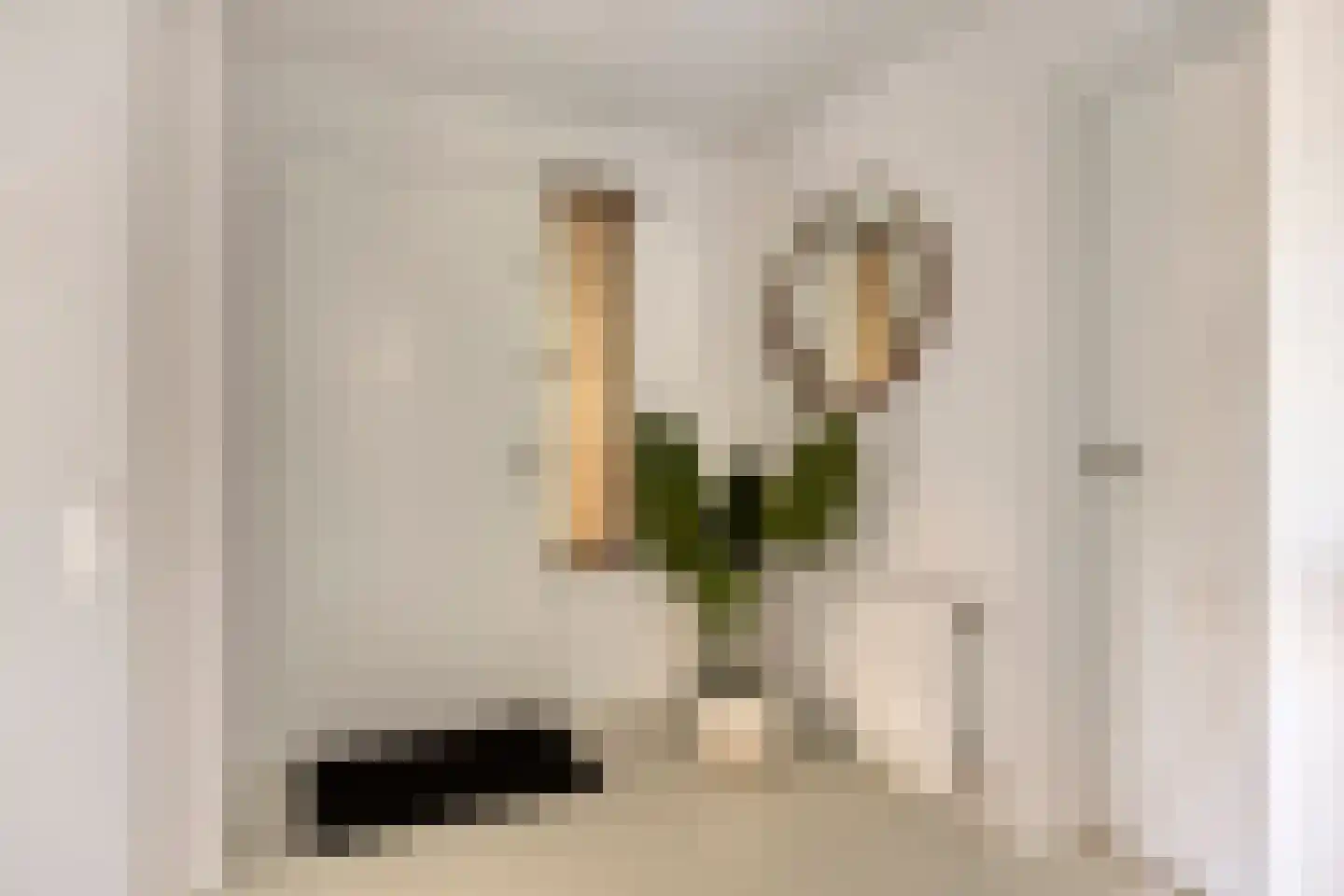 Schout van Herenthalsplein 22 's-Hertogenbosch thumbnail 17