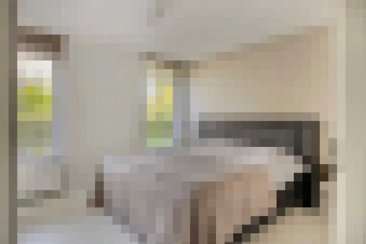 Schout van Herenthalsplein 22 's-Hertogenbosch thumbnail 29