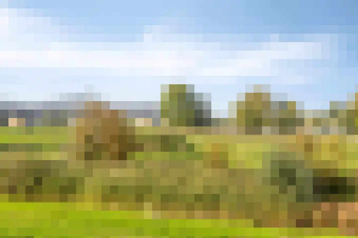 Schout van Herenthalsplein 22 's-Hertogenbosch thumbnail 45