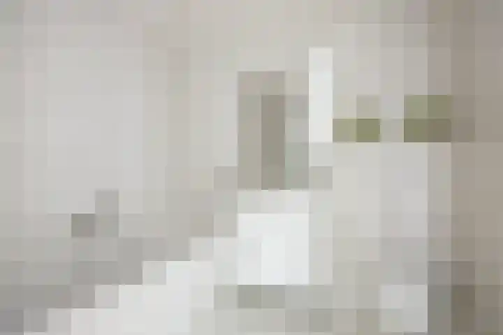 Schout van Herenthalsplein 23 's-Hertogenbosch thumbnail 21