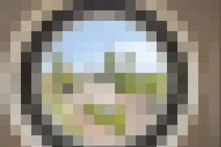 Schout van Herenthalsplein 23 's-Hertogenbosch thumbnail 30