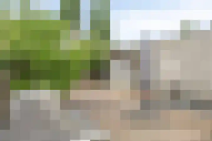 Schout van Herenthalsplein 23 's-Hertogenbosch thumbnail 32
