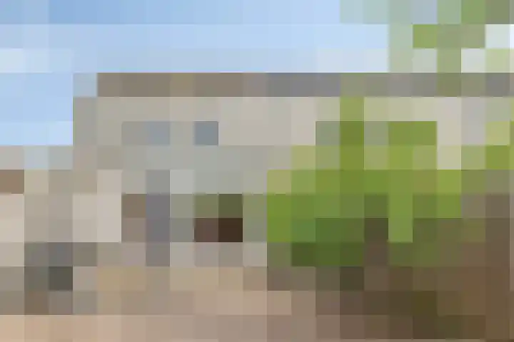 Schout van Herenthalsplein 23 's-Hertogenbosch thumbnail 35