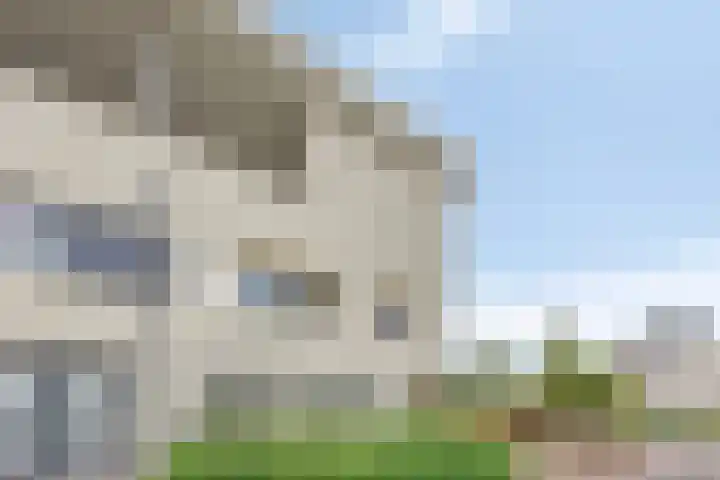 Schout van Herenthalsplein 23 's-Hertogenbosch thumbnail 38