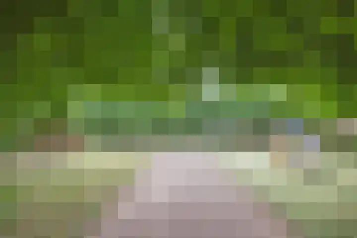 Schout van Herenthalsplein 23 's-Hertogenbosch thumbnail 40