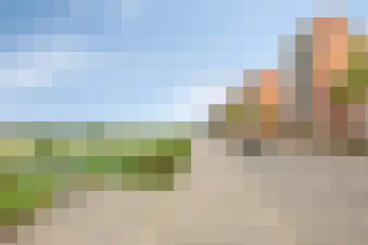 Schout van Herenthalsplein 23 's-Hertogenbosch thumbnail 42
