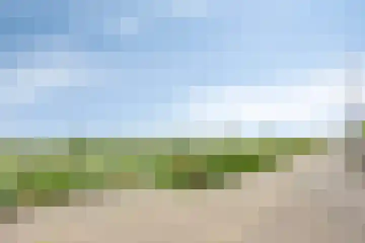 Schout van Herenthalsplein 23 's-Hertogenbosch thumbnail 43