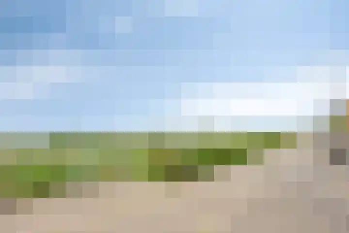 Schout van Herenthalsplein 23 's-Hertogenbosch thumbnail 44