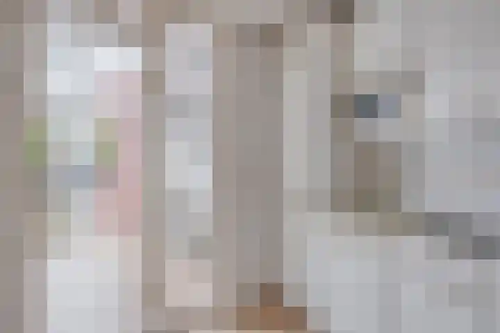 Schout van Herenthalsplein 23 's-Hertogenbosch thumbnail 8