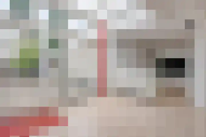 Schout van Herenthalsplein 23 's-Hertogenbosch thumbnail 9