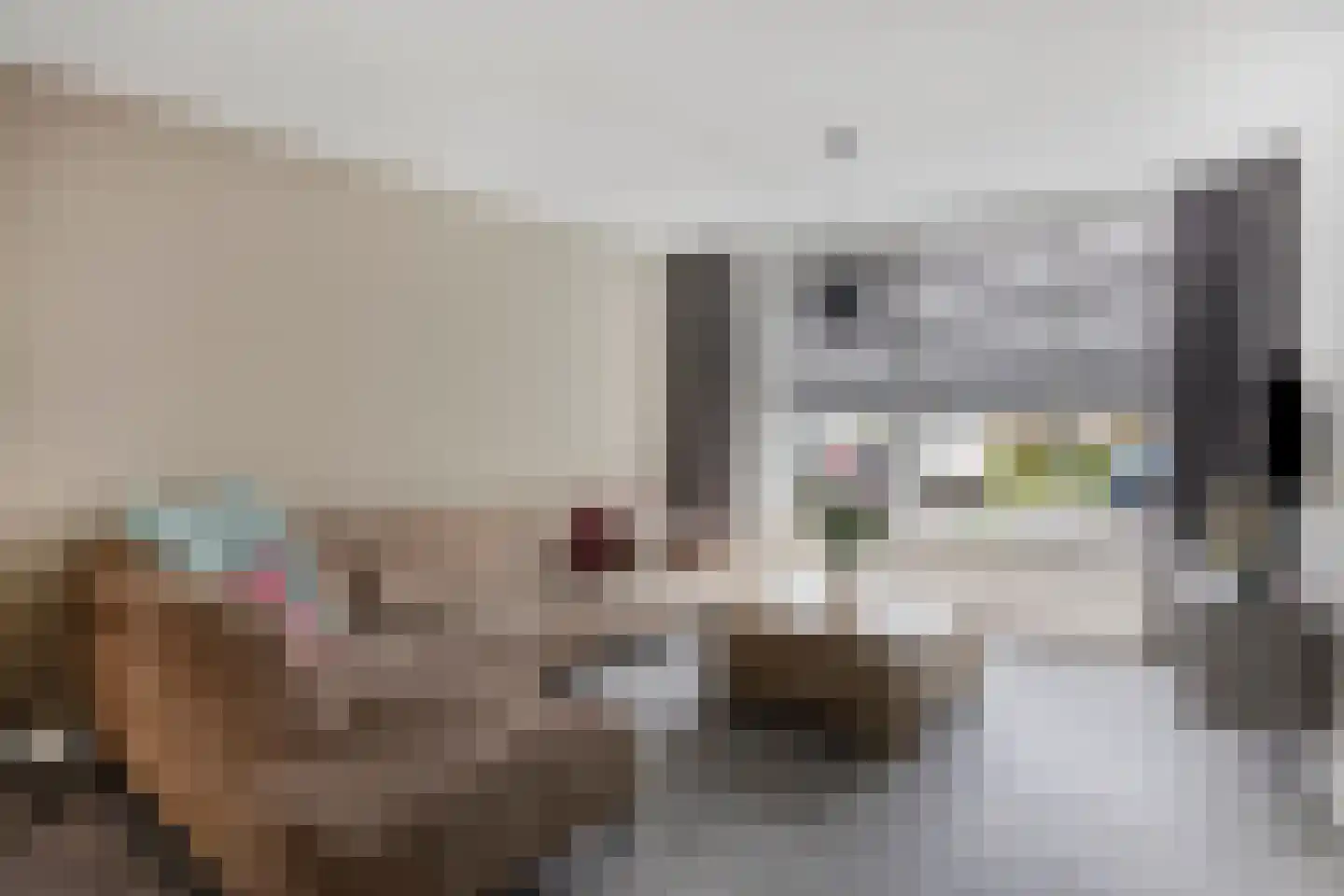 Schout van Herenthalsplein 45 's-Hertogenbosch thumbnail 10