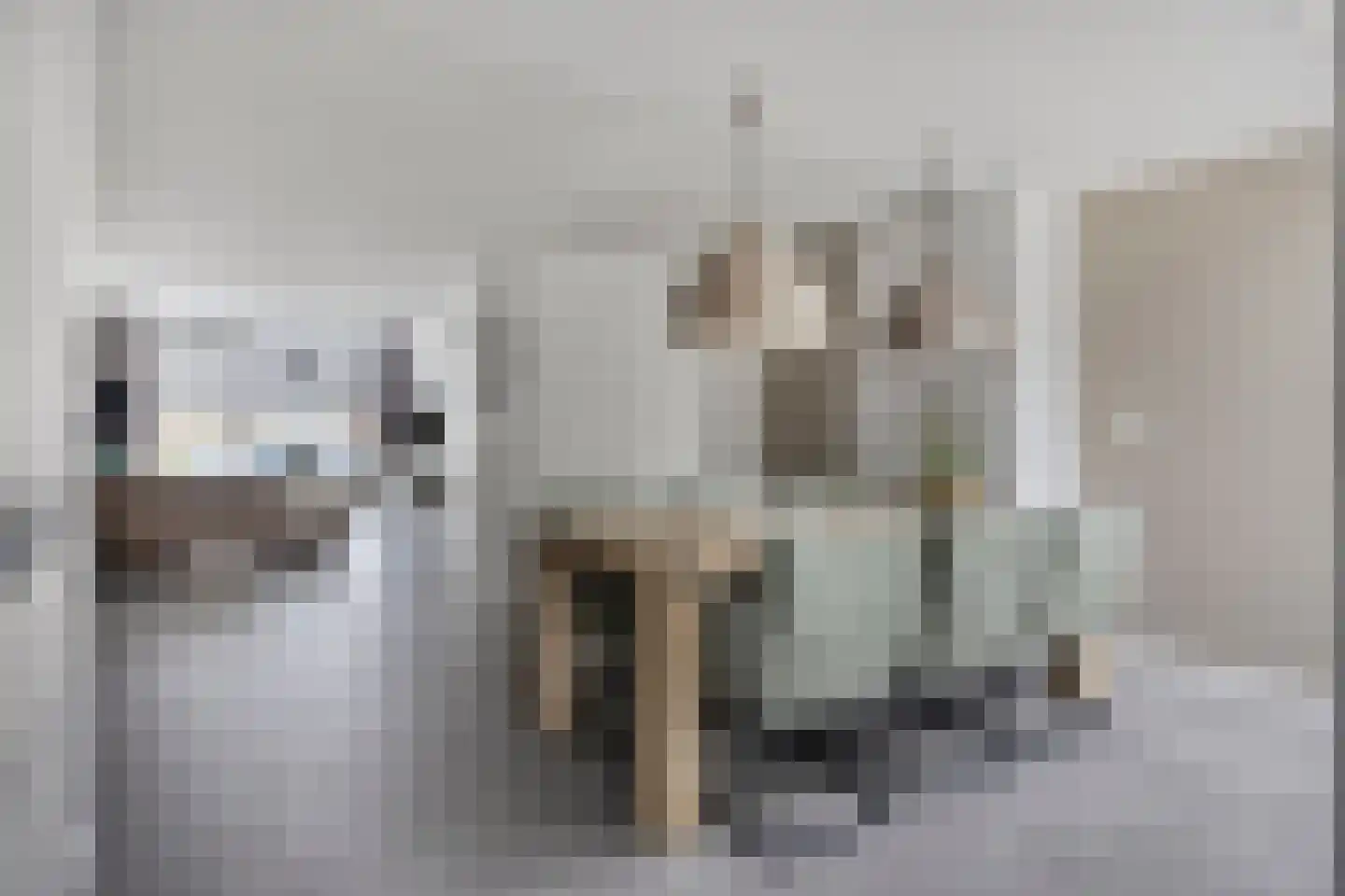 Schout van Herenthalsplein 45 's-Hertogenbosch thumbnail 12
