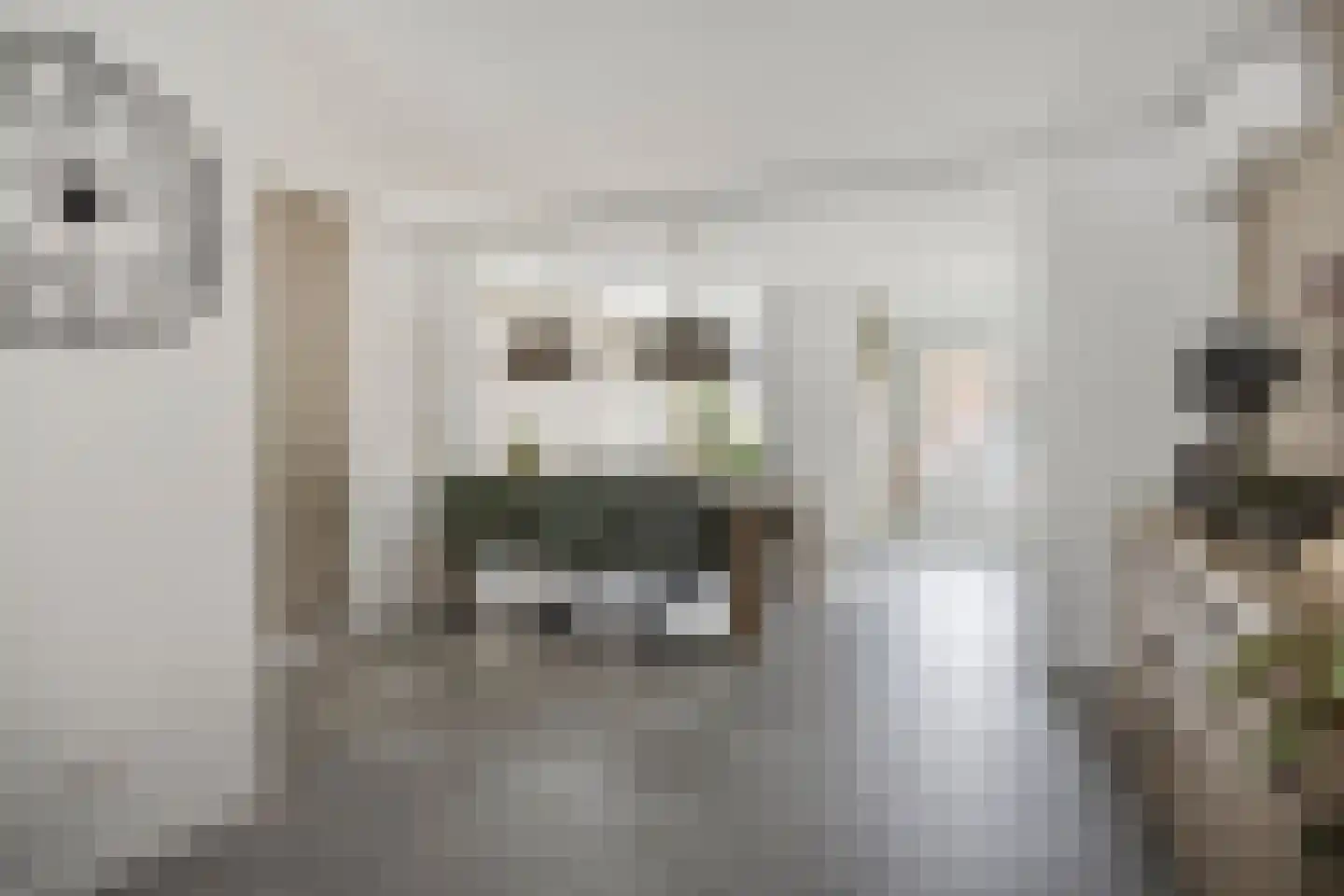 Schout van Herenthalsplein 45 's-Hertogenbosch thumbnail 13