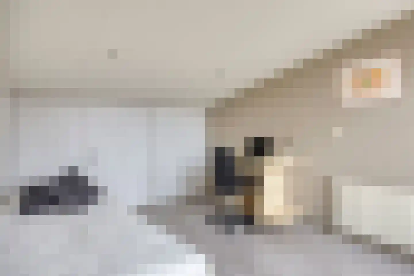 Schout van Herenthalsplein 45 's-Hertogenbosch thumbnail 33