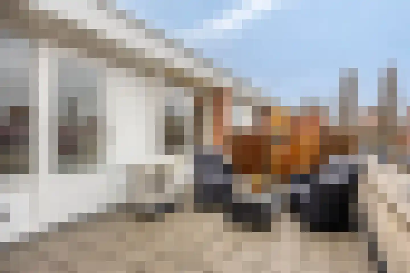 Schout van Herenthalsplein 45 's-Hertogenbosch thumbnail 35