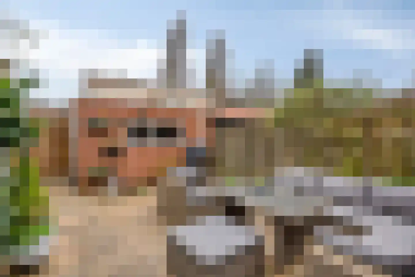 Schout van Herenthalsplein 45 's-Hertogenbosch thumbnail 38