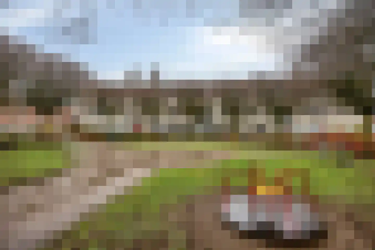 Schout van Herenthalsplein 45 's-Hertogenbosch thumbnail 39