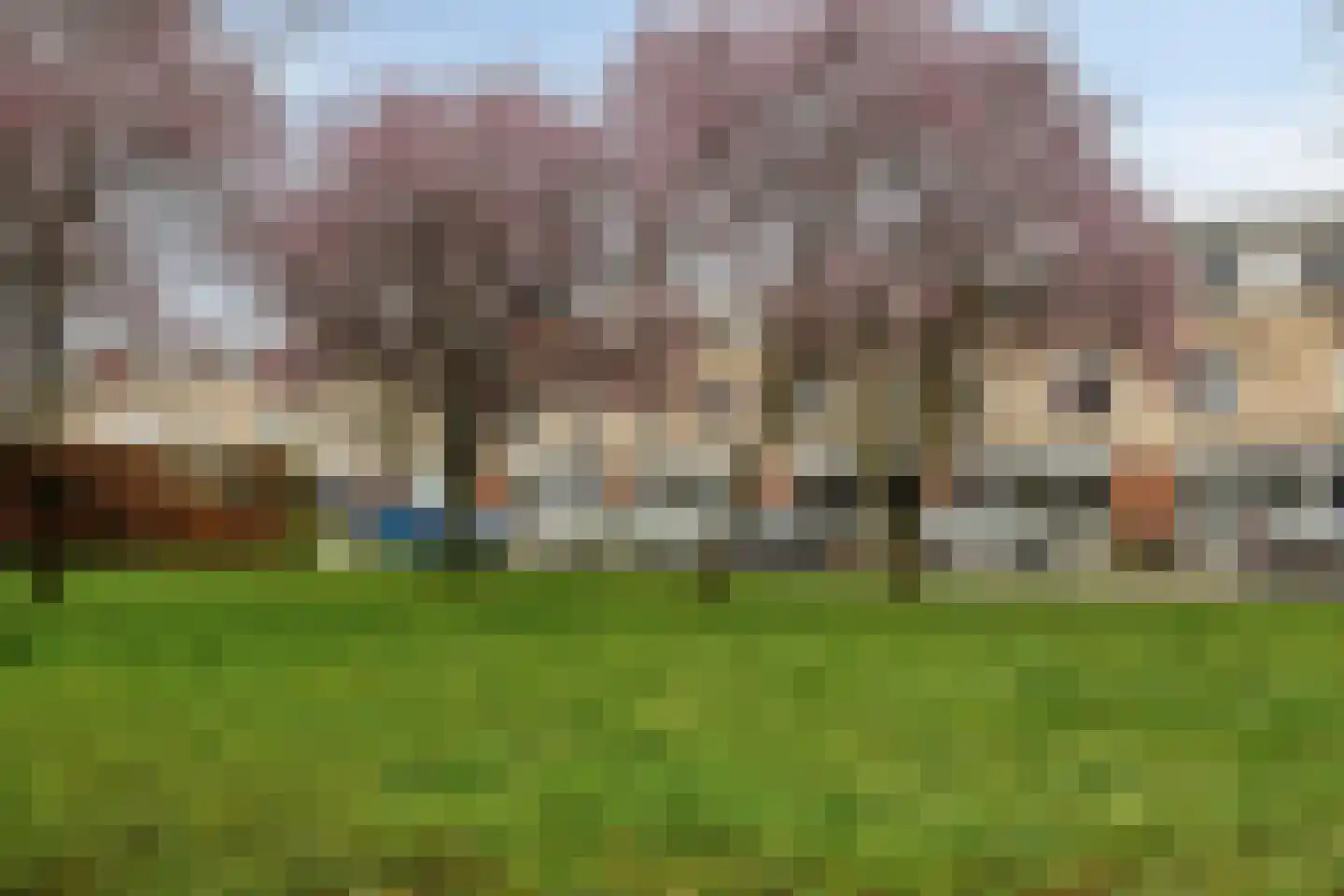 Schout van Herenthalsplein 45 's-Hertogenbosch thumbnail 40