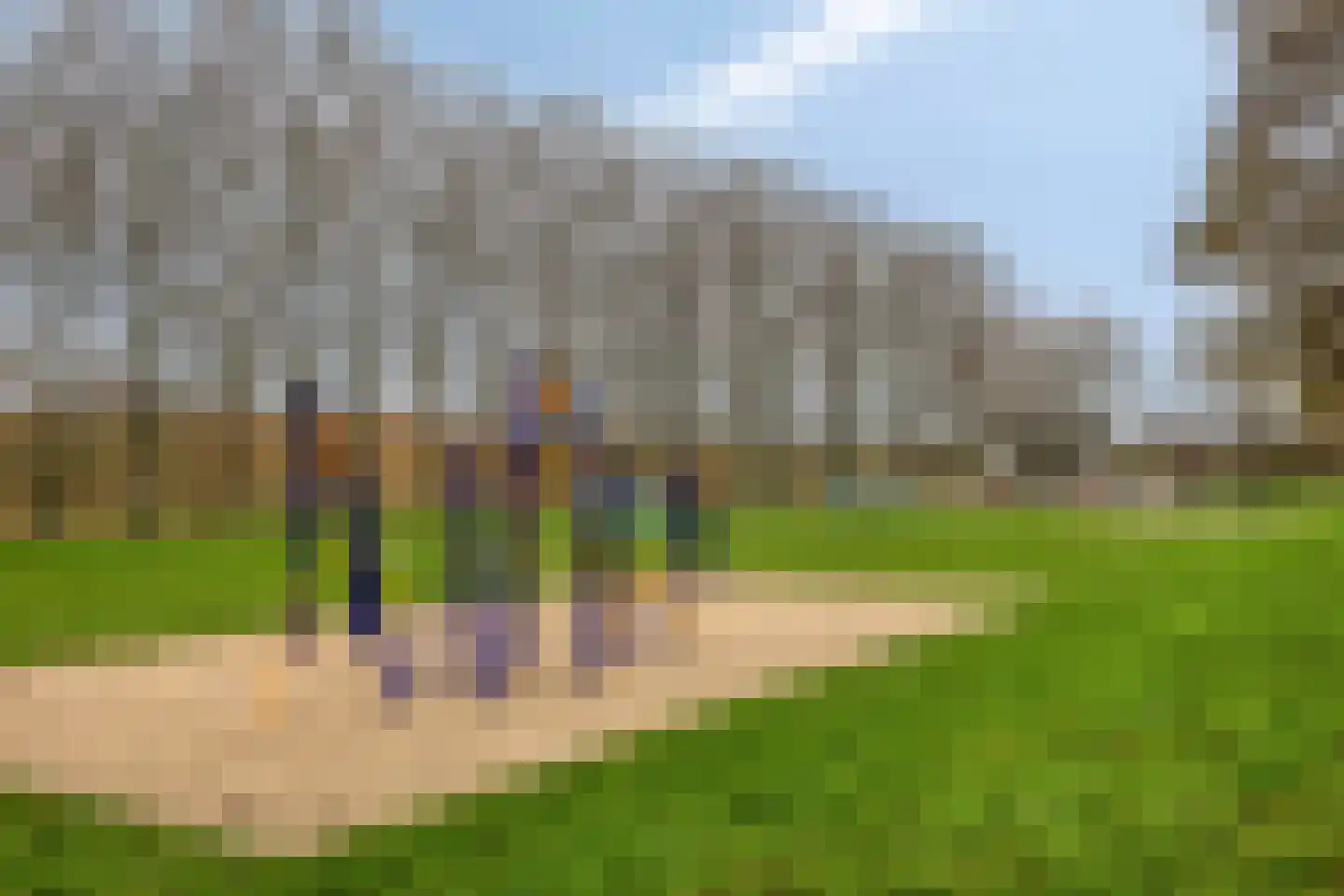 Schout van Herenthalsplein 45 's-Hertogenbosch thumbnail 41