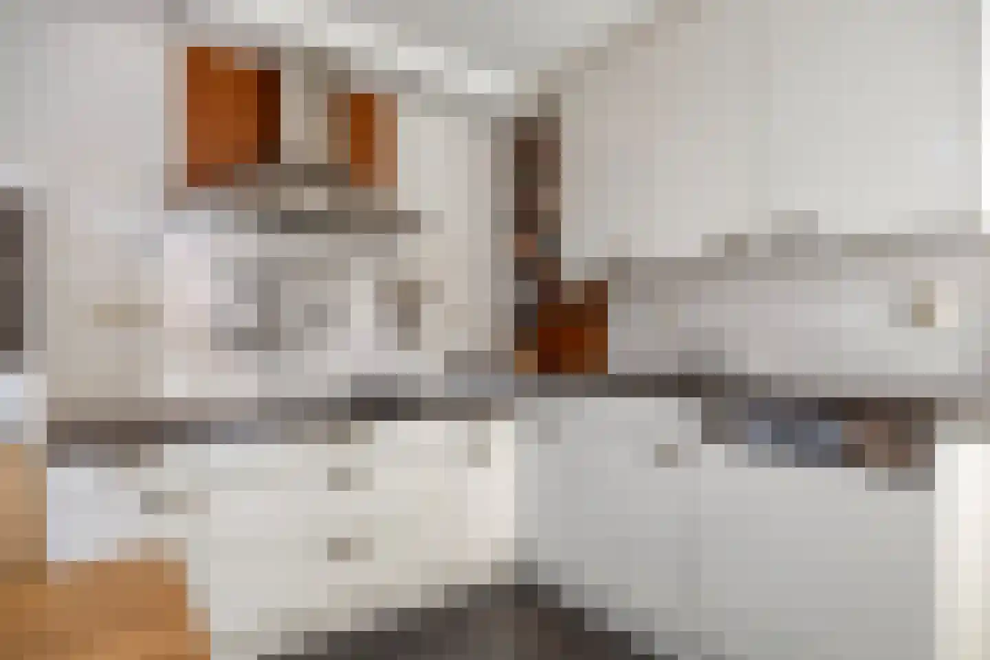 Schout van Keppelpad 11 's-Hertogenbosch thumbnail 11