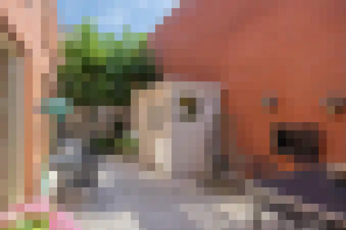 Schout van Keppelpad 11 's-Hertogenbosch thumbnail 14
