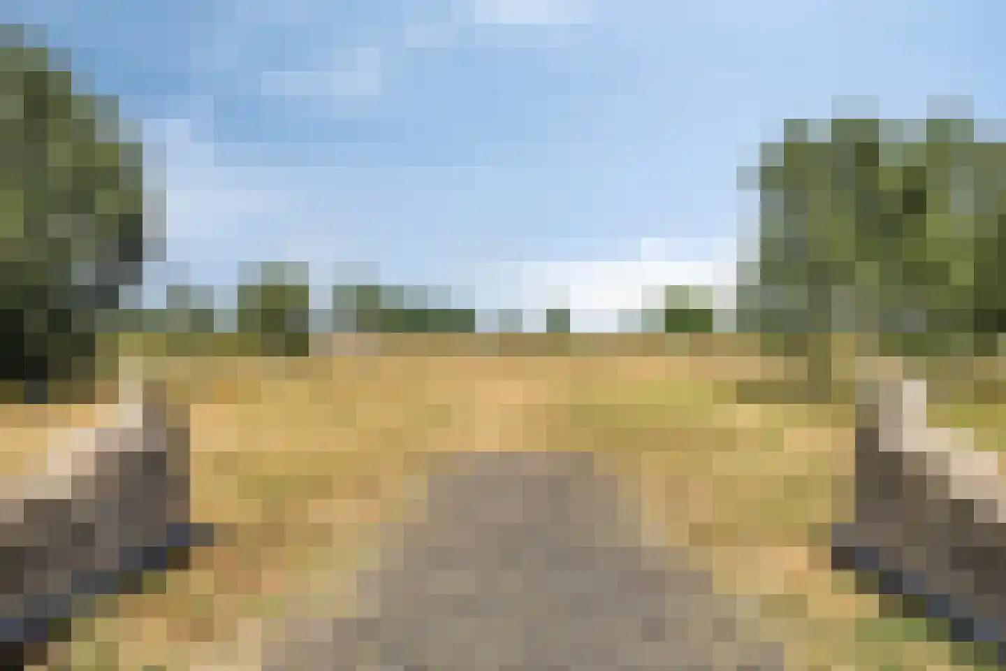 Schout van Keppelpad 11 's-Hertogenbosch thumbnail 29