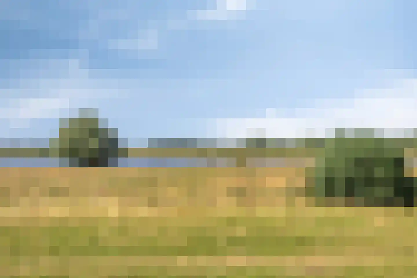 Schout van Keppelpad 11 's-Hertogenbosch thumbnail 30